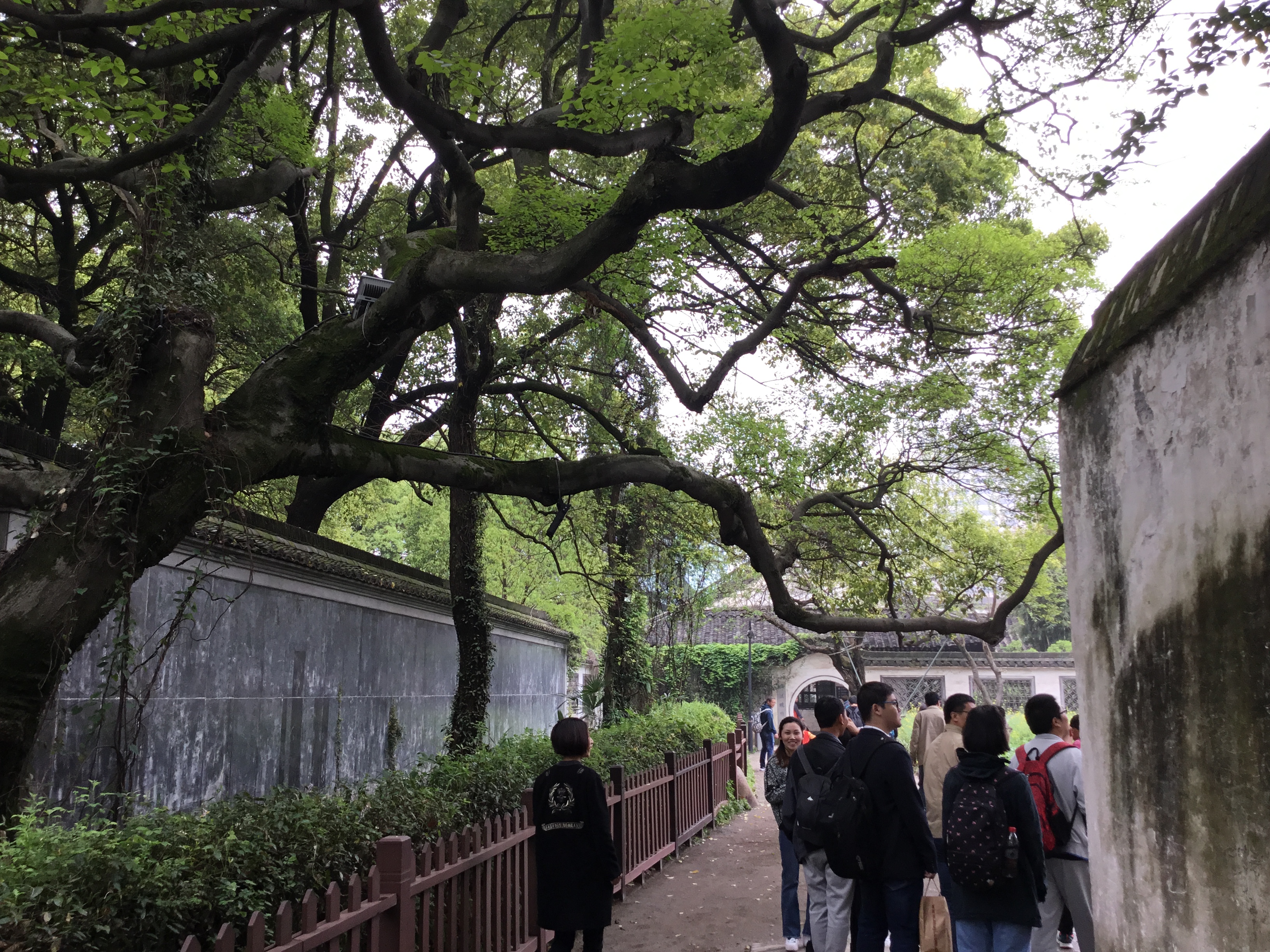 百草园入口